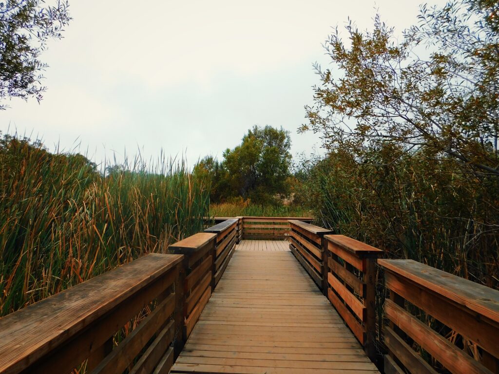 oak glen california preserve