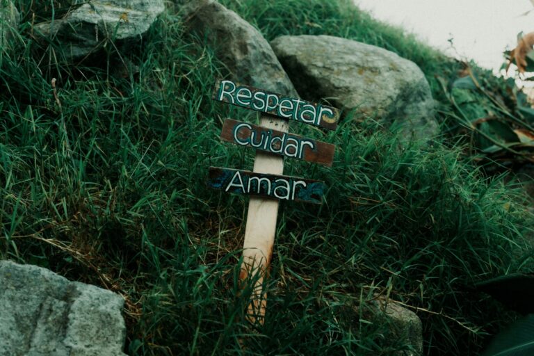 Lost in Translation: (Sometimes Literally)