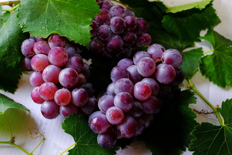 The 12 Grapes of Spain: How Spaniards Ring in the New Year (One Grape at a Time)