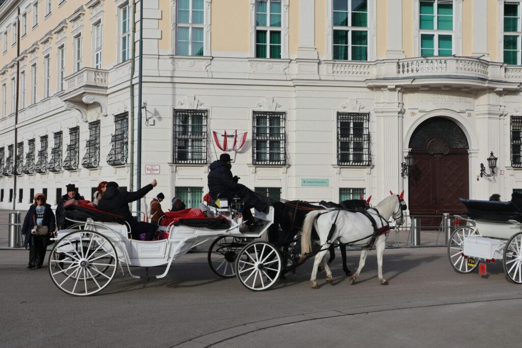 Vienna: According to My Twenties