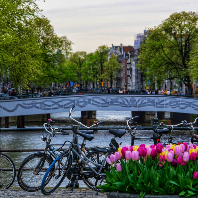 Amsterdam in Bloom: A Dream I Didn’t Realize Could Be This Good