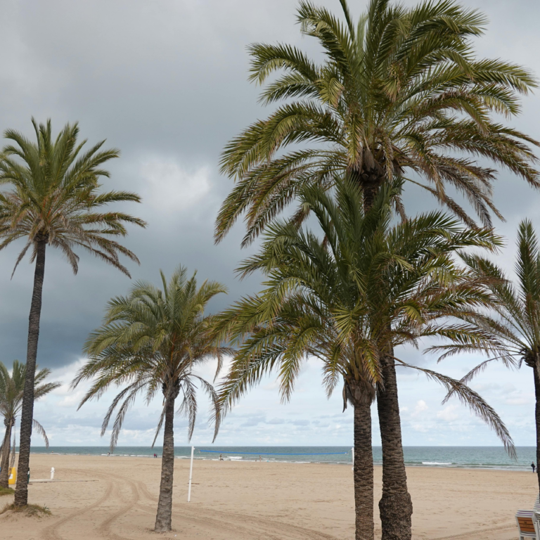 Spain’s Weather: Why I No Longer Trust the Forecast