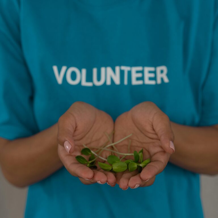 Free & Volunteer-Based Programs in Spain and Europe: Travel for Less